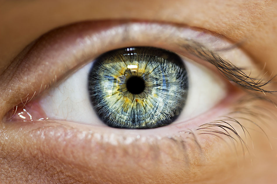 Close-up of a blue eye