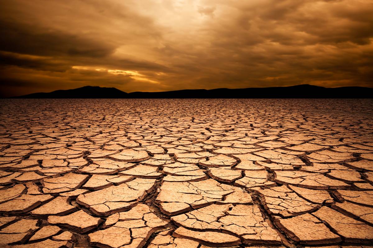 a dry desert with cracked ground