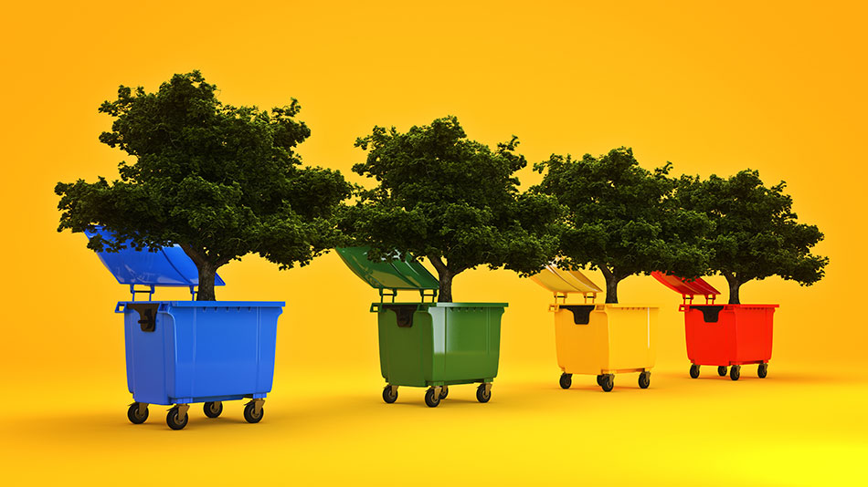 Four colored trash bins with trees growing inside them