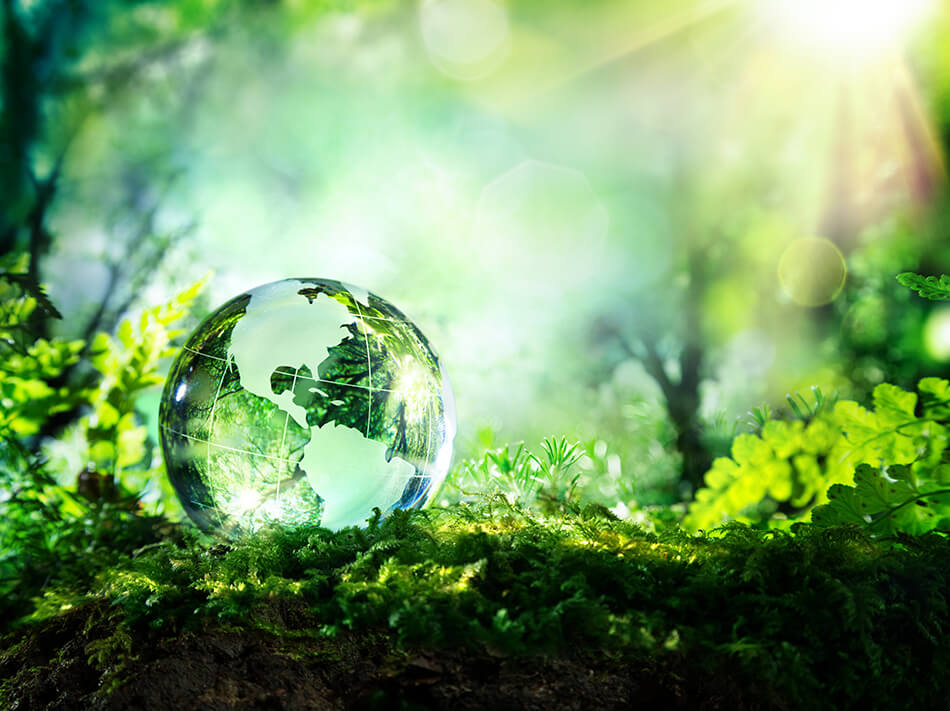 sunlight surrounding small glass globe on lush green ground