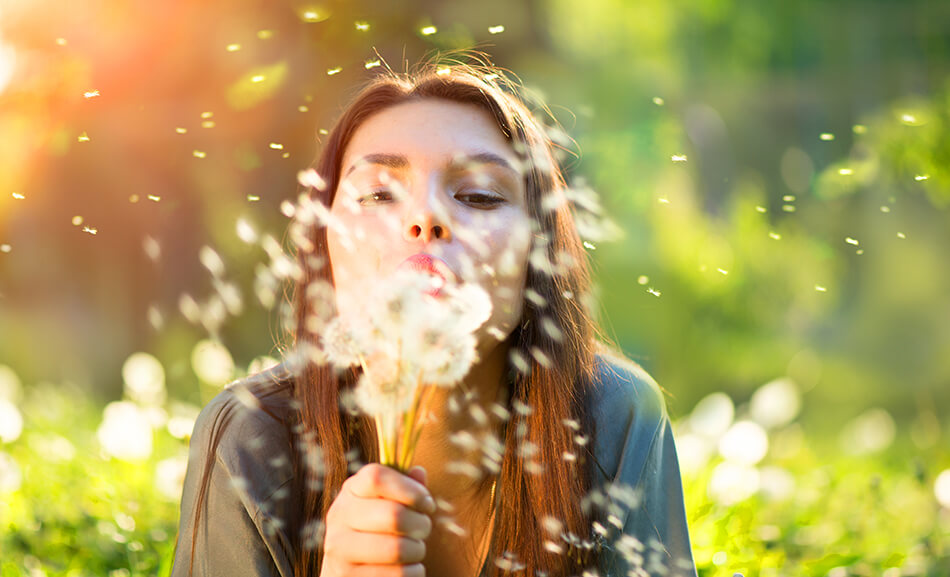 woman blowing on dandelions spreading pollen in the air